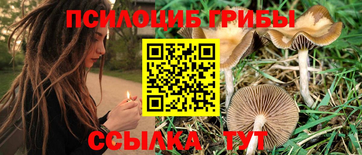 Галлюциногенные грибы мицелий Тобольск